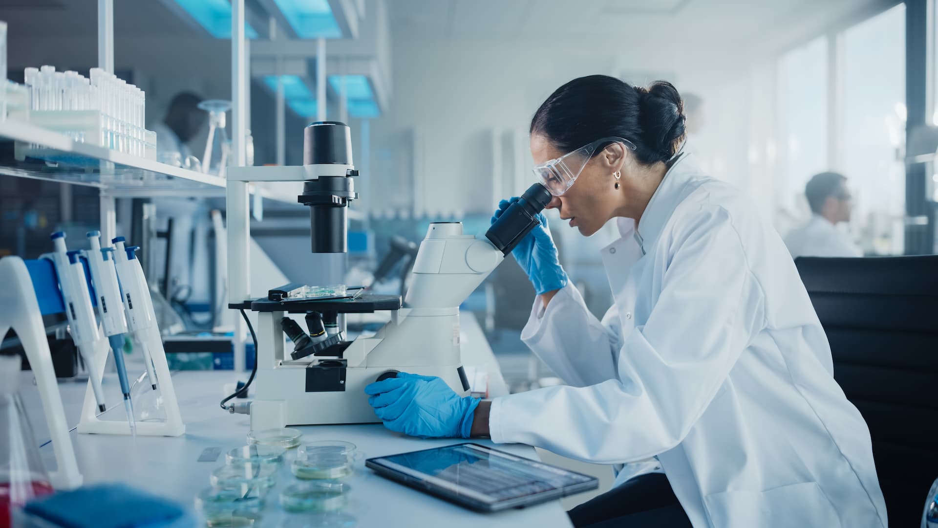 Responsable laboratoire
